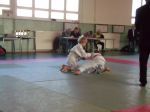 img_(11).jpg