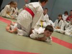 Dateiname=Judo-06-01-07_047.jpg
Dateigröße=150KB
Abmessungen: 768x576
hinzugefügt am: 03. März 2008 Judo-06-01-07_047.jpg