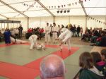 img_(53).jpg