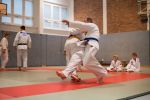 Dateiname=DSC_9166.JPG
Dateigröße=124KB
Abmessungen: 1024x683
hinzugefügt am: 19. November 2014 DSC_9166.JPG