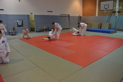 DSC_0016-1024x1024.jpg