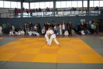 Dateiname=DSC_0053.jpg
Dateigröße=182KB
Abmessungen: 1200x800
hinzugefügt am: 22. März 2015 DSC_0053.jpg