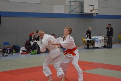 DSC_0113.jpg