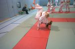 Dateiname=Image00055.jpg
Dateigröße=211KB
Abmessungen: 1280x852
hinzugefügt am: 25. März 2016 Image00055.jpg